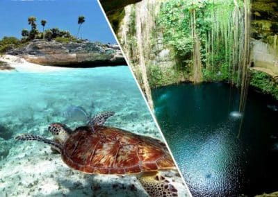 Tortugas y Cenotes