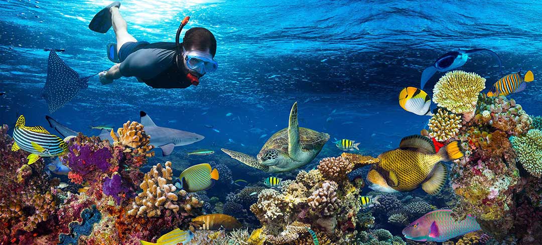 snorkel in cancun tour paradise adventours