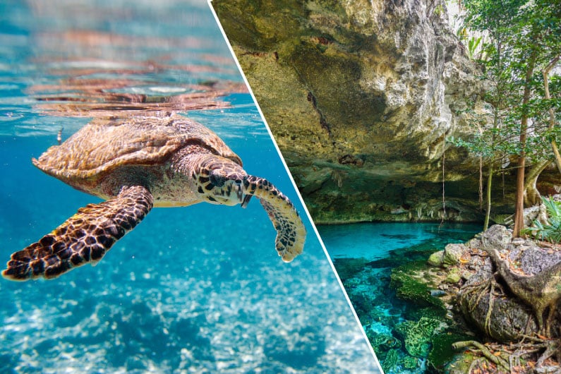 Snorkel Semiprivado con Tortugas y Visita a un Majestuoso Cenote